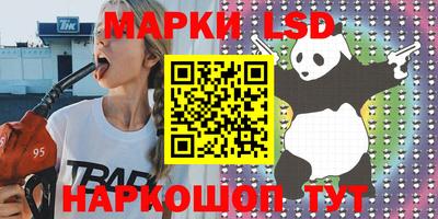 прущие грибы Будённовск