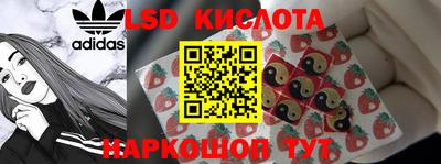 прущие грибы Будённовск
