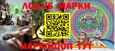 прущие грибы Будённовск