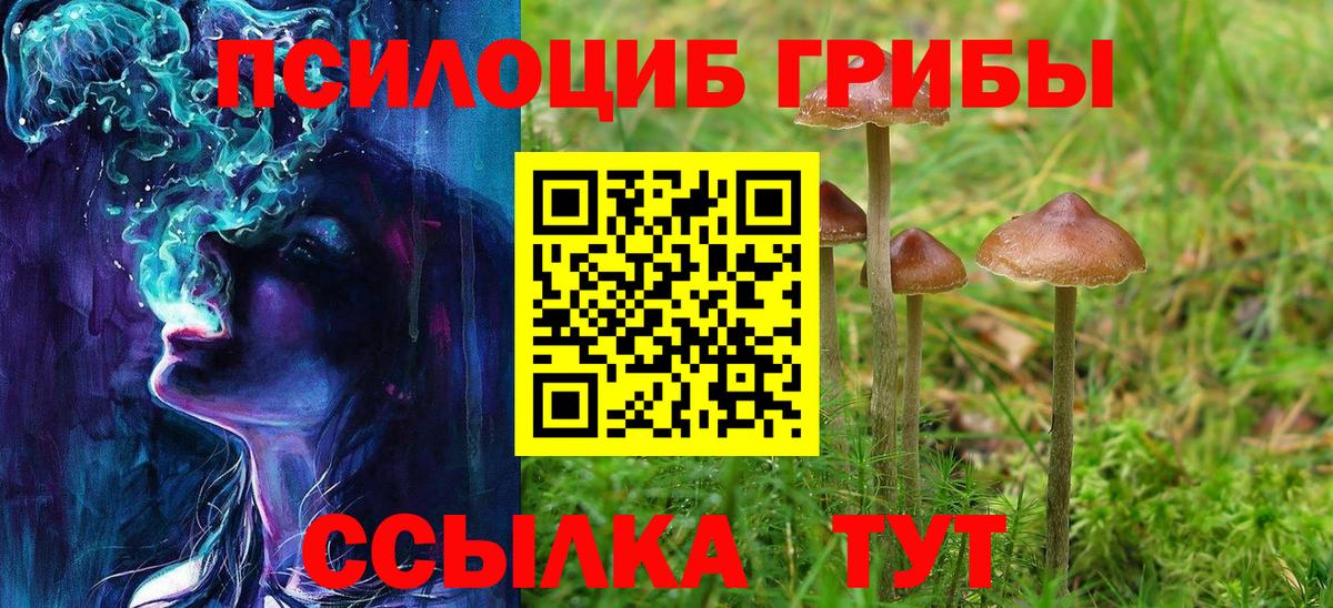 Псилоцибиновые грибы MAGIC MUSHROOMS  Вход с VPN  Новотроицк 
